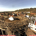 16_00-nest.jpg