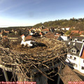 16_15-nest.jpg