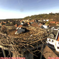 16_40-nest.jpg