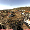 16_45-nest.jpg