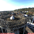 18_15-nest.jpg