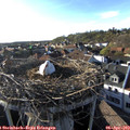 18_25-nest.jpg
