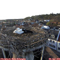 19_00-nest.jpg