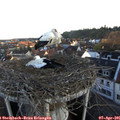 07_00-nest.jpg