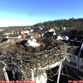 08_20-nest.jpg