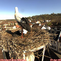 09_05-nest.jpg