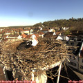 09_10-nest.jpg