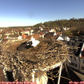 09_15-nest.jpg