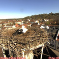 09_40-nest.jpg
