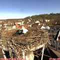 09_45-nest.jpg