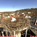 10_05-nest.jpg