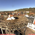 13_45-nest.jpg
