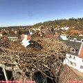 14_10-nest.jpg