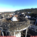 07_55-nest.jpg
