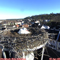 08_00-nest.jpg