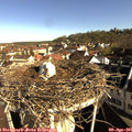 08_55-nest.jpg