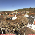 12_45-nest.jpg