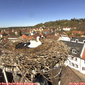 13_00-nest.jpg