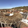13_15-nest.jpg