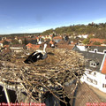14_05-nest.jpg