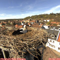 15_05-nest.jpg