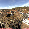 15_15-nest.jpg