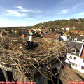 16_00-nest.jpg