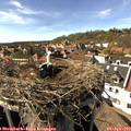 16_05-nest.jpg