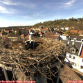 16_10-nest.jpg