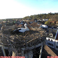 19_00-nest.jpg