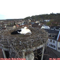 07_00-nest.jpg