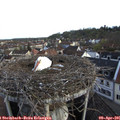 07_30-nest.jpg