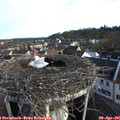 07_40-nest.jpg