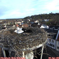 07_45-nest.jpg