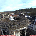 07_50-nest.jpg