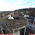 08_15-nest.jpg