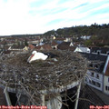 08_35-nest.jpg