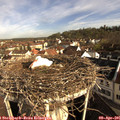 08_45-nest.jpg