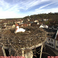 08_50-nest.jpg