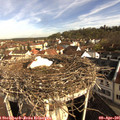 08_55-nest.jpg