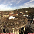 09_00-nest.jpg