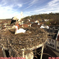 09_05-nest.jpg