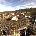 09_15-nest.jpg