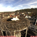09_20-nest.jpg