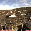 09_35-nest.jpg