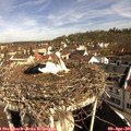 09_40-nest.jpg