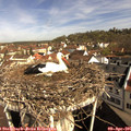 09_45-nest.jpg