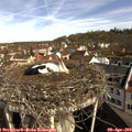10_00-nest.jpg