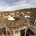 10_20-nest.jpg