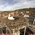 10_25-nest.jpg